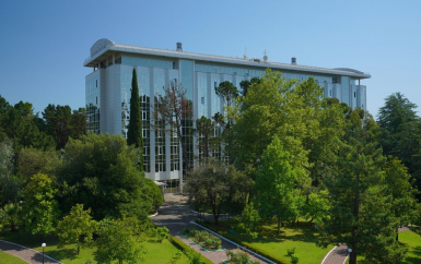 - пансионат Изумруд